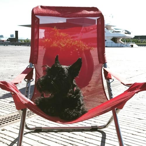 Fiesta arredamento da giardino